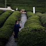 简夏文学记录