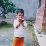 dillpo