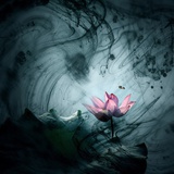 添壬