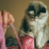 Tina*Szeto