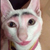 不如归乱