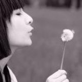 青青草