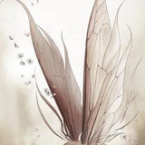 向日葵