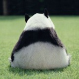 所谓爱情