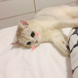AprilLove