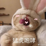 猛虎咆哮
