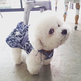 小小小Q君