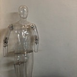 唯有豆娘伴我心