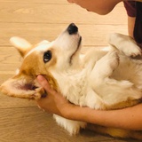 璨_