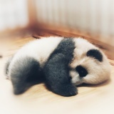 听