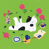 多多是个小秘密