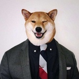 绅士图鉴
