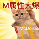 每天十遍做个人