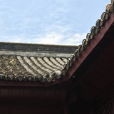 Tlee布达拉