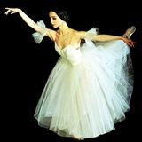 sylvia