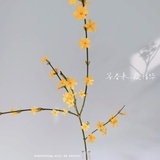 生活要如月