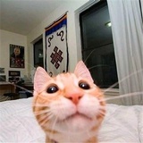 十五