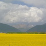 安静就是力量
