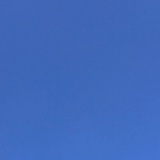 总有涨进