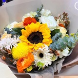 打盹的向日葵🌻