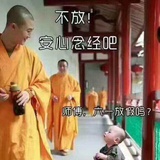 小菜蛋