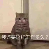 黄橙子