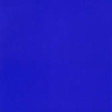 维斯特Vast