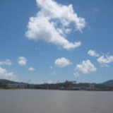 revii
