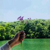 等一等吧