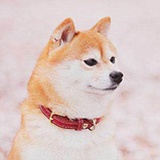 木林
