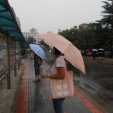xiaomei