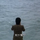 只想要一个树洞