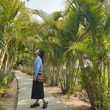 钉钉