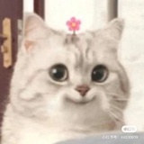 话痨症患者