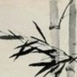 爱米粒
