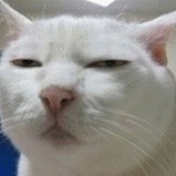 韦博学员