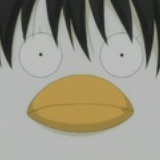 蘑菇moku