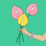 粉色大芭蕉