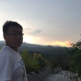 雾浸清柳