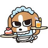 大宝酱✨✨