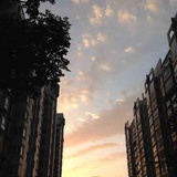不羁的风