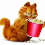 加菲cat