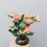茵