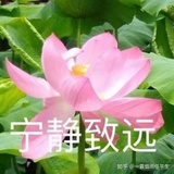 甾纳尼