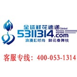 5311314鲜花