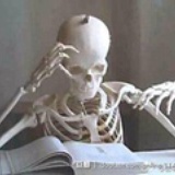 闻道小马