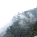 高阳酒徒