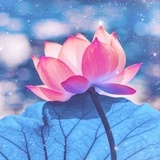 树树