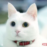 伟美窝窝