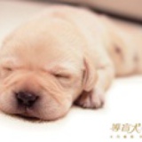Baby-Smile